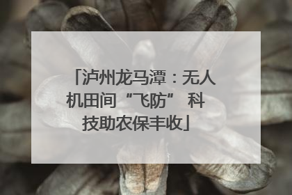 泸州龙马潭：无人机田间“飞防” 科技助农保丰收