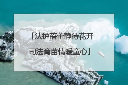 法护蓓蕾静待花开 司法育苗情暖童心