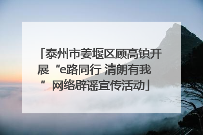 泰州市姜堰区顾高镇开展“e路同行 清朗有我”网络辟谣宣传活动