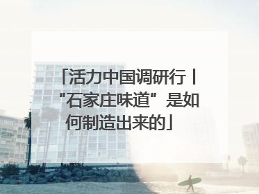 活力中国调研行丨“石家庄味道”是如何制造出来的