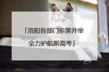 洛阳各部门多策并举 全力护航新高考