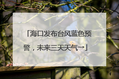 海口发布台风蓝色预警，未来三天天气→