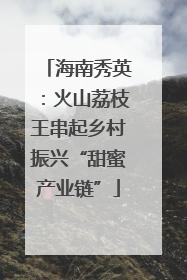 海南秀英：火山荔枝王串起乡村振兴“甜蜜产业链”