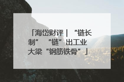 海岱财评｜“链长制” “链”出工业大梁“钢筋铁骨”