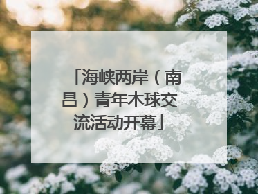 海峡两岸（南昌）青年木球交流活动开幕