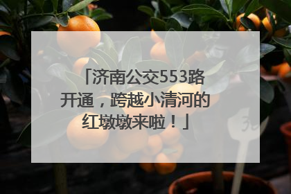 济南公交553路开通，跨越小清河的红墩墩来啦！