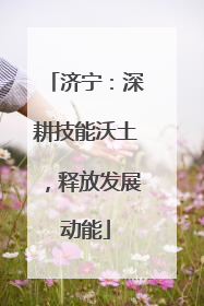 济宁：深耕技能沃土，释放发展动能