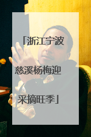 浙江宁波慈溪杨梅迎采摘旺季
