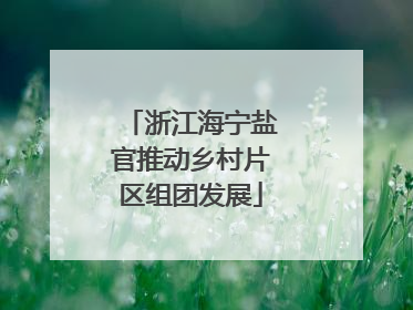 浙江海宁盐官推动乡村片区组团发展