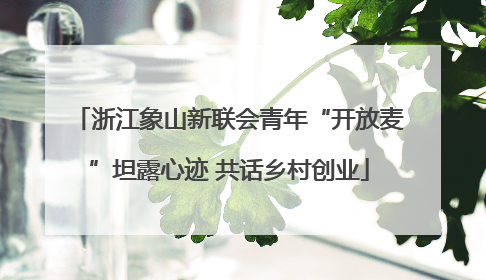 浙江象山新联会青年“开放麦”坦露心迹 共话乡村创业