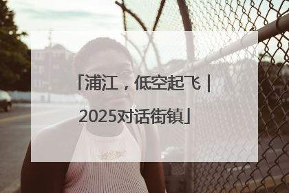 浦江，低空起飞｜2025对话街镇