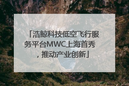 浩鲸科技低空飞行服务平台MWC上海首秀，推动产业创新