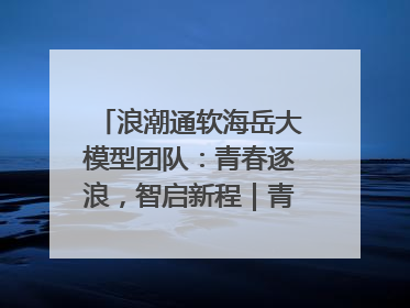 浪潮通软海岳大模型团队：青春逐浪，智启新程｜青春思政课