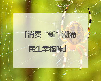消费“新”潮涌 民生幸福味