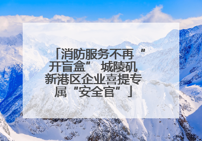 消防服务不再“开盲盒” 城陵矶新港区企业喜提专属“安全官”