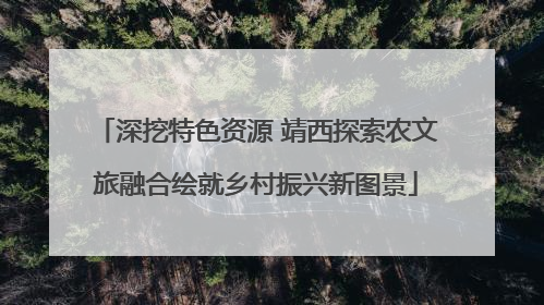 深挖特色资源 靖西探索农文旅融合绘就乡村振兴新图景