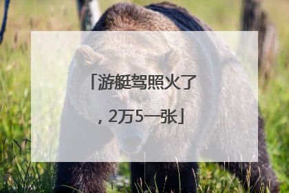 游艇驾照火了，2万5一张