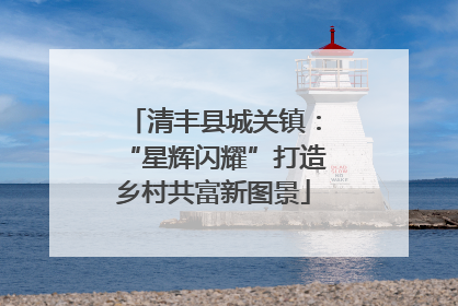 清丰县城关镇：“星辉闪耀”打造乡村共富新图景