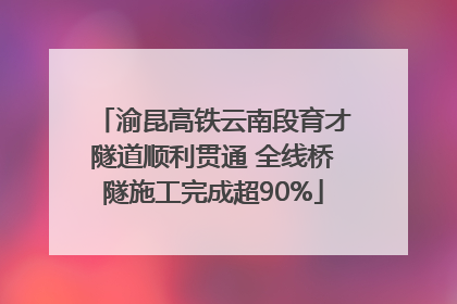渝昆高铁云南段育才隧道顺利贯通 全线桥隧施工完成超90%