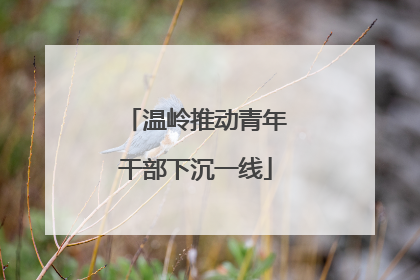 温岭推动青年干部下沉一线