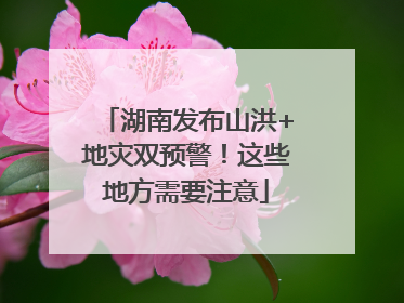 湖南发布山洪+地灾双预警！这些地方需要注意