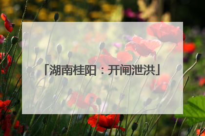 湖南桂阳：开闸泄洪