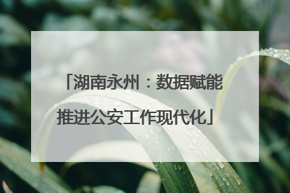 湖南永州：数据赋能推进公安工作现代化