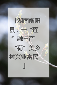 湖南衡阳县：一“莲”融三产 “荷”美乡村兴业富民