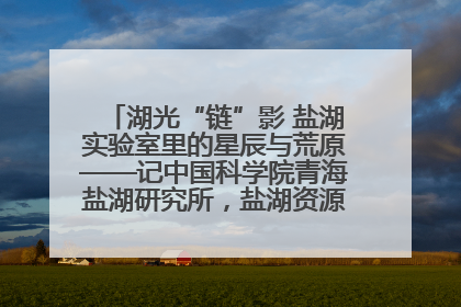 湖光“链”影 盐湖实验室里的星辰与荒原——记中国科学院青海盐湖研究所，盐湖资源化学实验室党总支书记、副主任刘忠