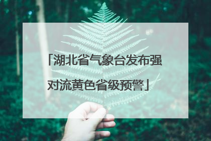 湖北省气象台发布强对流黄色省级预警