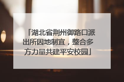 湖北省荆州御路口派出所因地制宜，整合多方力量共建平安校园