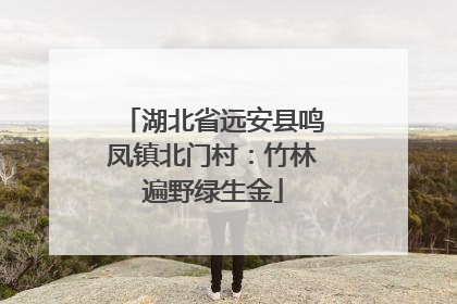 湖北省远安县鸣凤镇北门村：竹林遍野绿生金