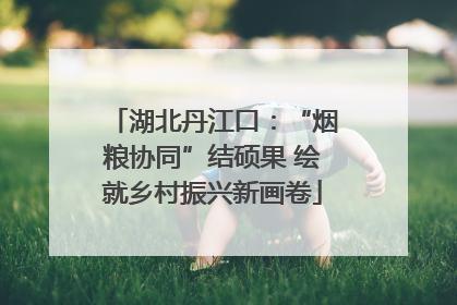 湖北丹江口：“烟粮协同”结硕果 绘就乡村振兴新画卷