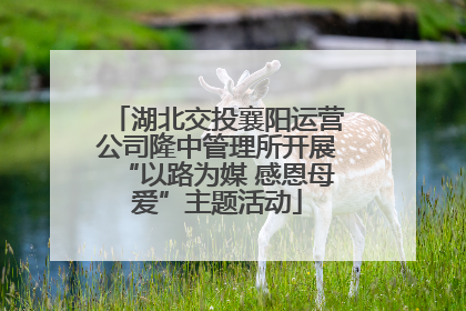 湖北交投襄阳运营公司隆中管理所开展“以路为媒 感恩母爱”主题活动