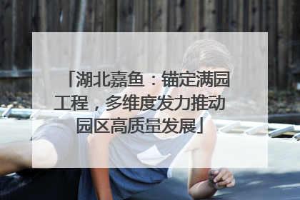 湖北嘉鱼：锚定满园工程，多维度发力推动园区高质量发展