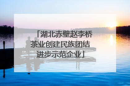 湖北赤壁赵李桥茶业创建民族团结进步示范企业