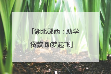 湖北郧西：助学贷款 助梦起飞