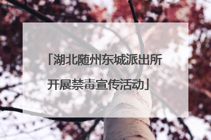 湖北随州东城派出所开展禁毒宣传活动