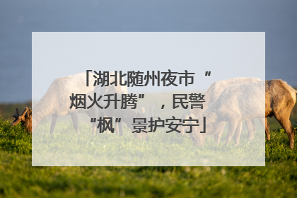 湖北随州夜市“烟火升腾”，民警“枫”景护安宁