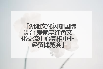 湖湘文化闪耀国际舞台 爱晚亭红色文化交流中心亮相中非经贸博览会