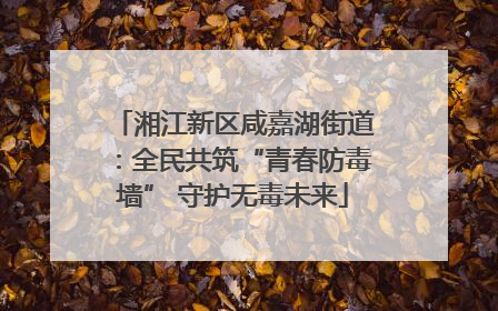 湘江新区咸嘉湖街道：全民共筑“青春防毒墙” 守护无毒未来