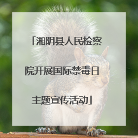 湘阴县人民检察院开展国际禁毒日主题宣传活动