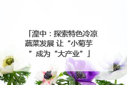湟中：探索特色冷凉蔬菜发展 让“小菊芋”成为“大产业”
