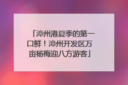 漳州港夏季的第一口鲜！漳州开发区万亩杨梅迎八方游客