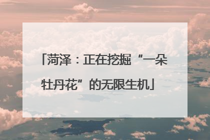 菏泽：正在挖掘“一朵牡丹花”的无限生机