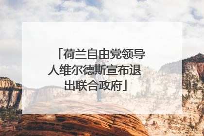 荷兰自由党领导人维尔德斯宣布退出联合政府
