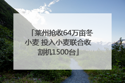 莱州抢收64万亩冬小麦 投入小麦联合收割机1500台