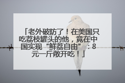 老外破防了！在美国只吃荔枝罐头的他，竟在中国实现“鲜荔自由”：8元一斤敞开吃！
