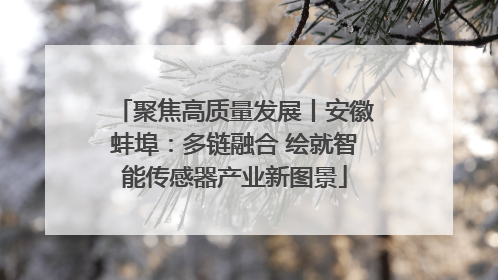 聚焦高质量发展丨安徽蚌埠：多链融合 绘就智能传感器产业新图景