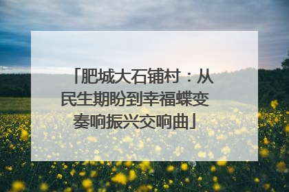 肥城大石铺村：从民生期盼到幸福蝶变奏响振兴交响曲